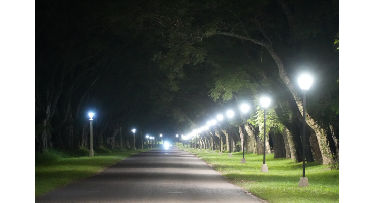 Avanza la obra de iluminación Led de la senda hacia la Escuela Alberdi